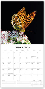 Butterflies - Schmetterlinge 2027 - 16-Monatskalender