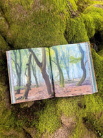 THE WOODS (Innenansicht)