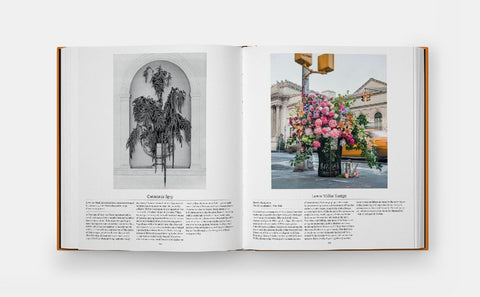 Flower: Exploring the World in Bloom