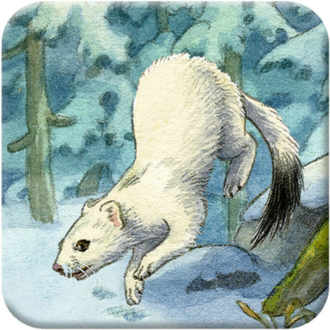 Memo-Adventskalender - Die Tiere im Winterwald
