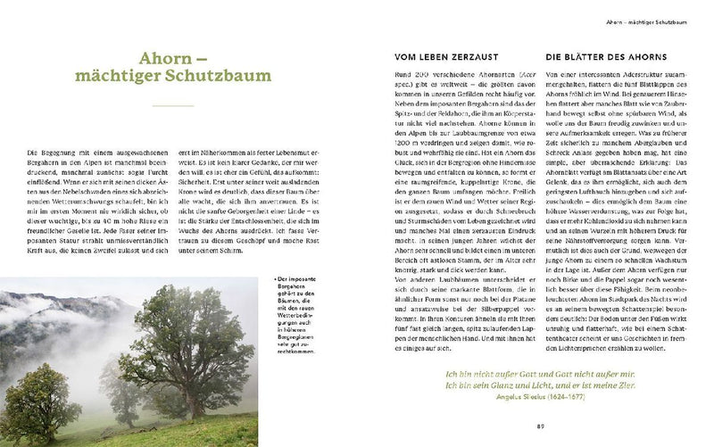 Bäume für die Seele (Innenansicht)