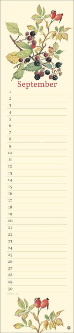 Edith Holden: Geburtstagskalender Langplaner (Innenansicht)