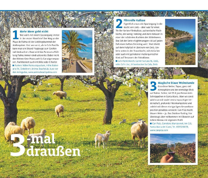 Mallorca (Innenansicht)