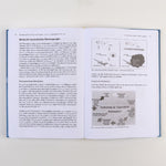 Handbuch Traumapädagogik