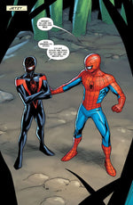Die spektakulären Spider-Men