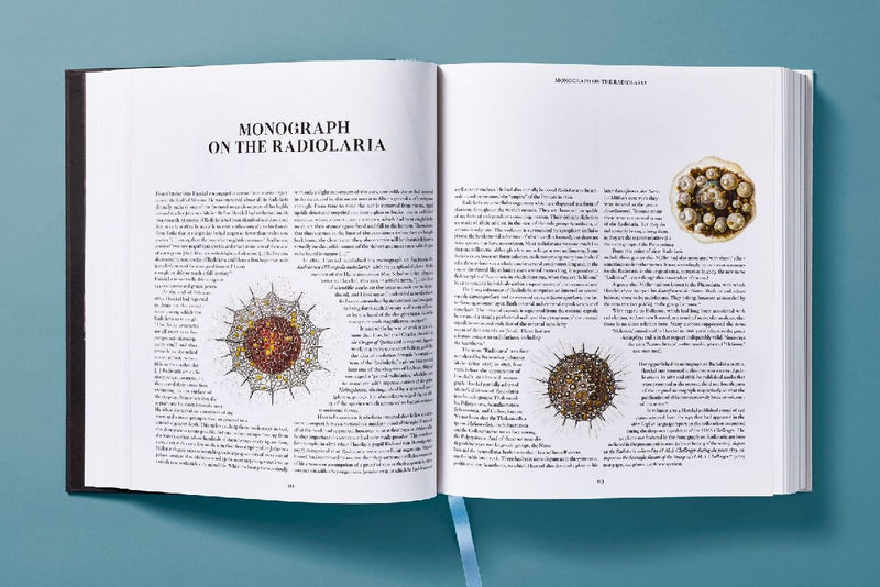The Art and Science of Ernst Haeckel (Innenansicht)