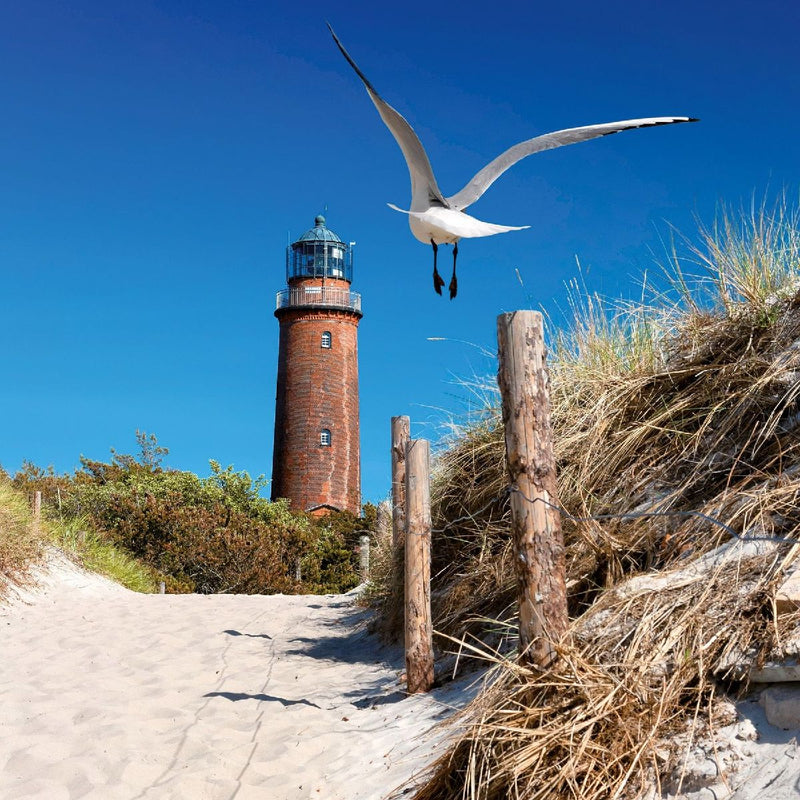 Ostsee / Baltic Sea 2027 (Innenansicht)