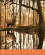 Augenblicke im Wald 2027