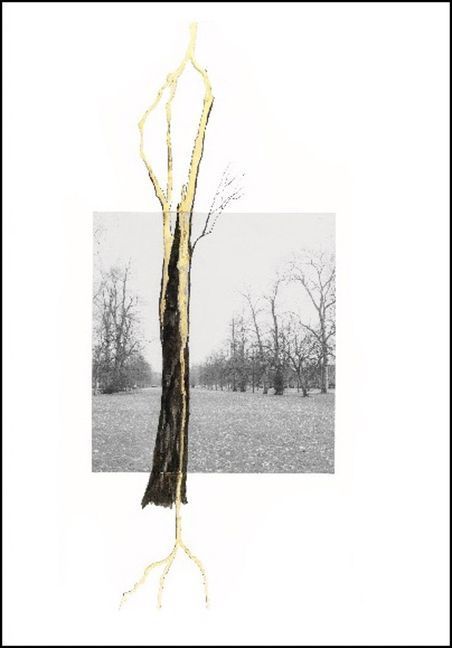 Giuseppe Penone. Thoughts in the Roots