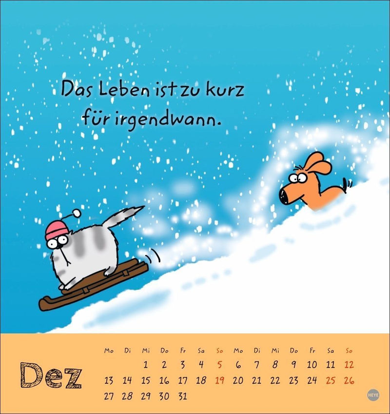 Catzz Postkartenkalender 2027 (Innenansicht)