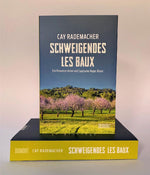 Schweigendes Les Baux (Innenansicht)