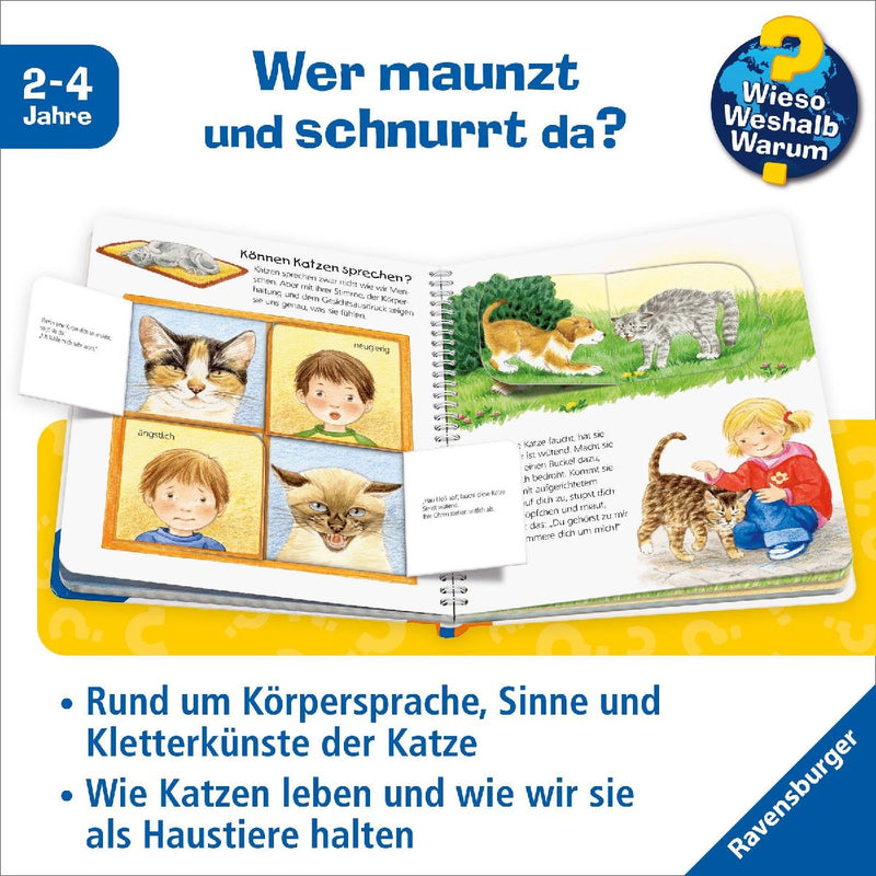 Wieso? Weshalb? Warum? junior, Band 21: Die Katze (Innenansicht)
