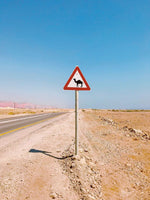 Accidentally Wes Anderson (Innenansicht)