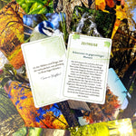 Waldbaden to go (Innenansicht)
