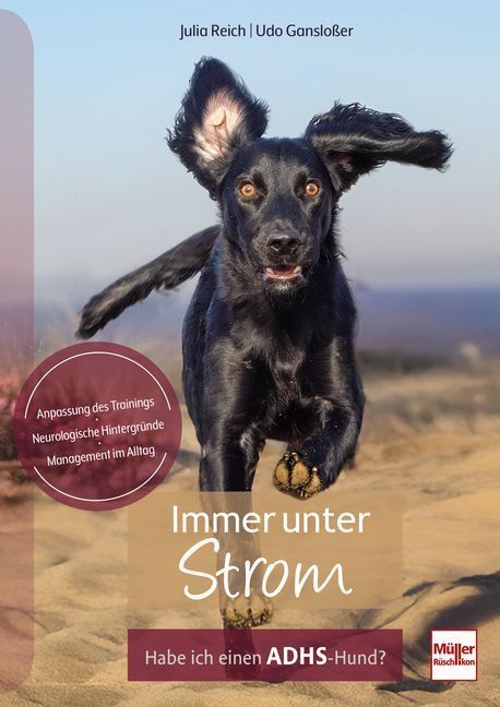 Immer unter Strom