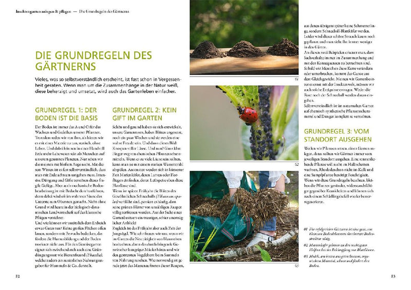 Mein Garten summt! (Innenansicht)