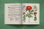 Basilius Besler
