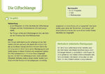 30 Psychomotorik-Bildkarten für Kinder (Innenansicht)