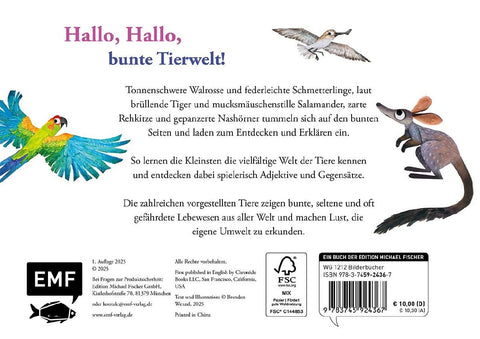 Hallo Hallo - Gegensätze