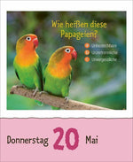 Wie faul ist das Faultier? 2027