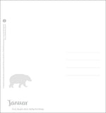 Bärenstark Postkartenkalender 2027