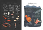 Ocean Anatomy (Innenansicht)