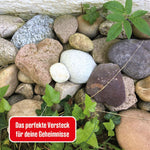 Die drei ??? Geheimversteck