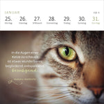 Mini-Wochenkalender Katzenweisheiten 2027