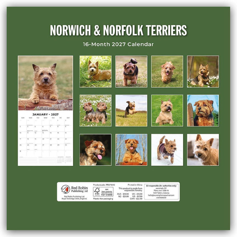 Norwich Terrier und Norfolk Terrier 2027 - 16-Monatskalender (Rückseite)
