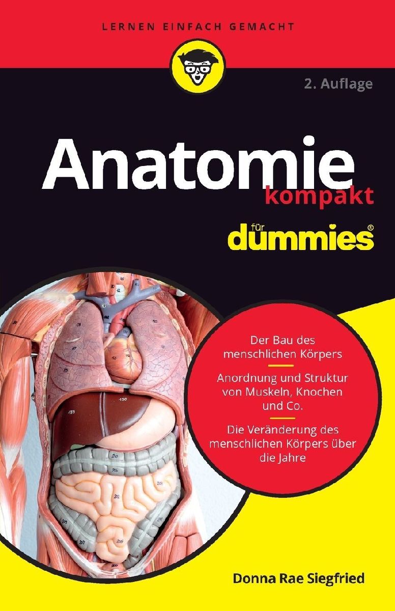 Anatomie kompakt für Dummies
