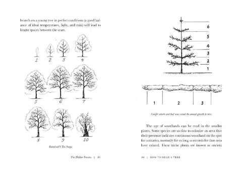 How to Read a Tree