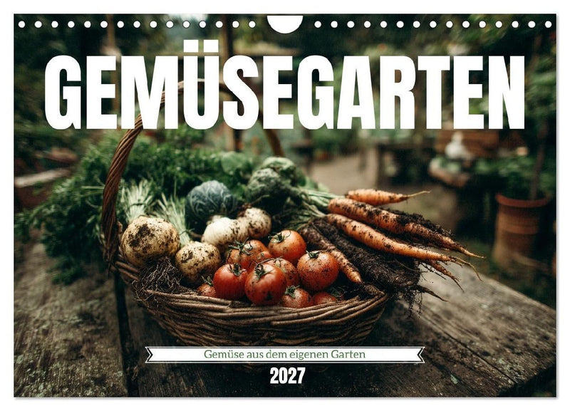Gemüsegarten - Gemüse aus dem eigenen Garten (Wandkalender 2027 DIN A4 quer), CALVENDO Monatskalender