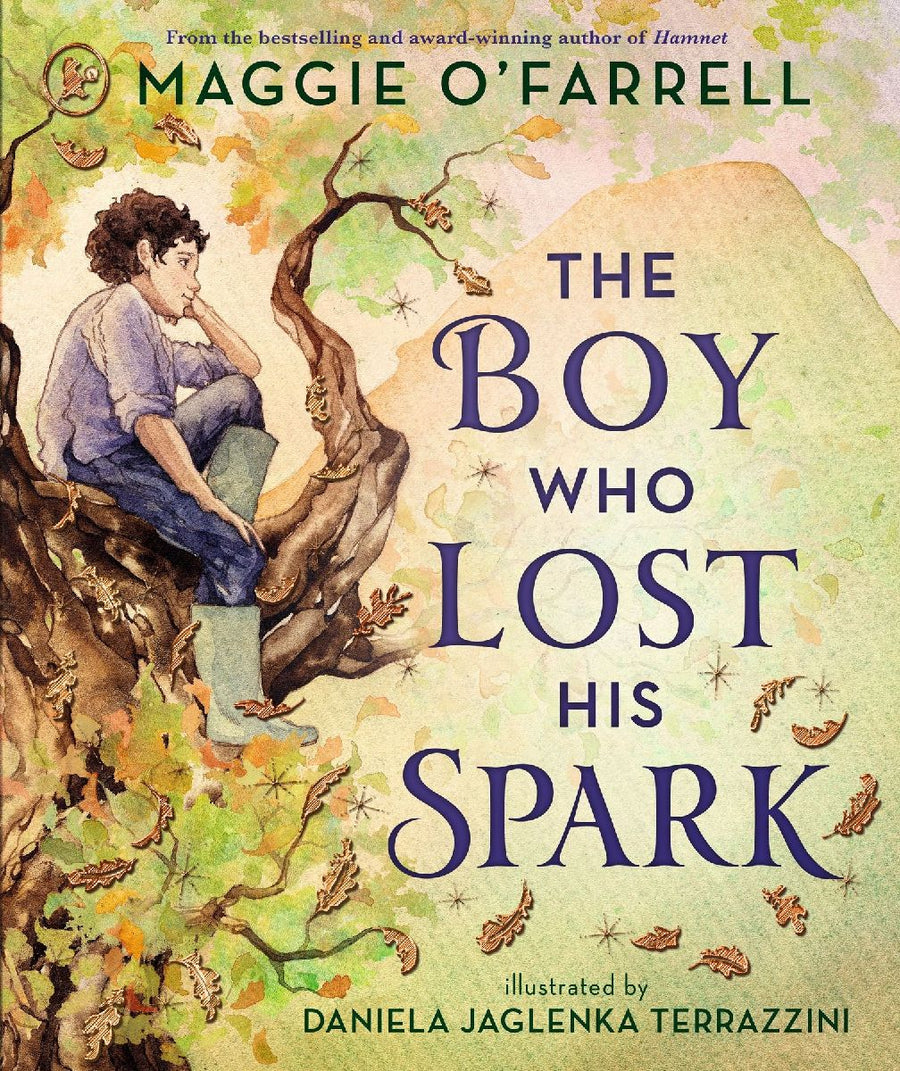The Boy Who Lost His Spark