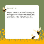 Bienen-Quiz