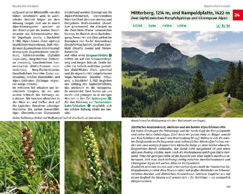 Blumenwanderungen Bayerische Alpen (Innenansicht)