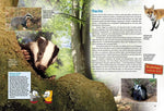 Entdecke heimische Wildtiere (Innenansicht)