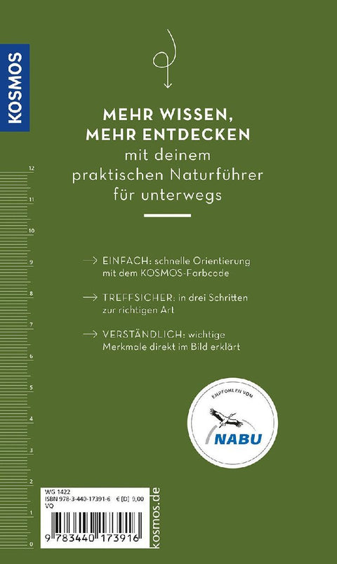 BASIC Insekten