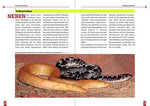 Die Ostafrikanische Sandboa (Innenansicht)