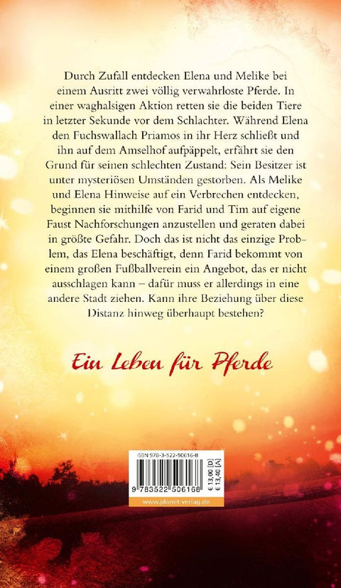 Elena - Ein Leben für Pferde 7: In letzter Sekunde
