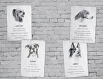 Buddy - Mein Leben als Straßenhund (Innenansicht)