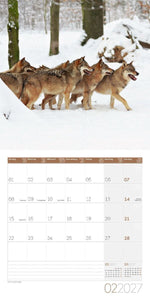 Wölfe Kalender 2027 - 30x30 - Art12