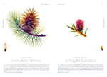 Seeds (Innenansicht)