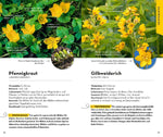 BASIC Früchte und Wildkräuter