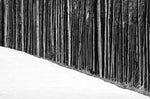 Schwarz. Wald. Land. (Innenansicht)