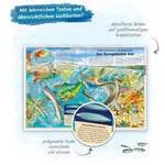 Trötsch Kinderbuch Der große Atlas der Ozeane (Innenansicht)