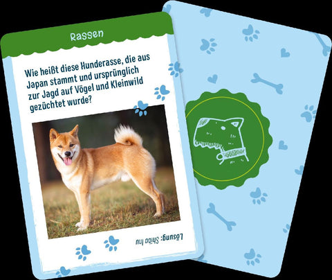 Warum ist die Hundenase feucht?