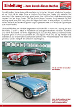 Austin Healey (Innenansicht)