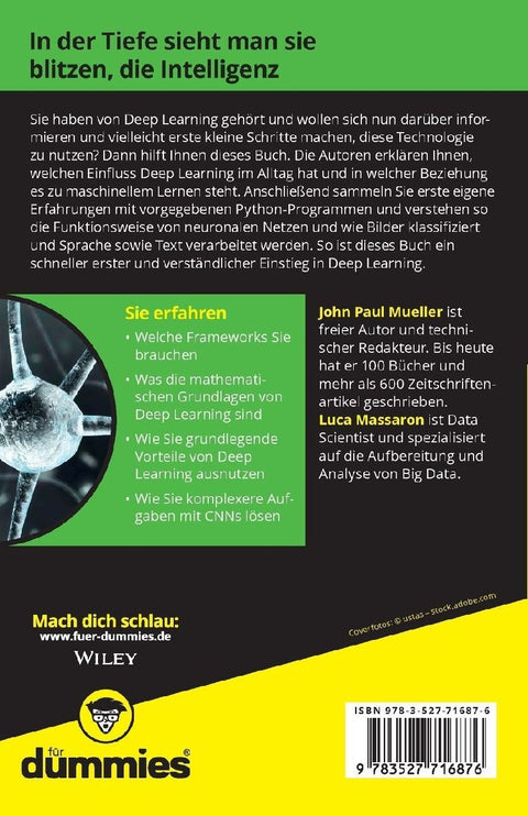 Deep Learning kompakt für Dummies