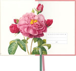 Redoutes Rosen 2027