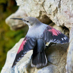 Birds 2027